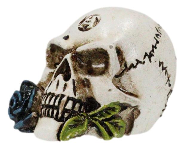 Ebros Gift Gothic Tango Vampire Skull Biting Black Rose Stalk Mini Dark Alchemy Figurine