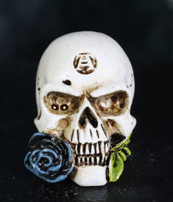 ebros gift Gothic Tango Vampire Skull Biting Black Rose Stalk Mini Dark Alchemy Figurine