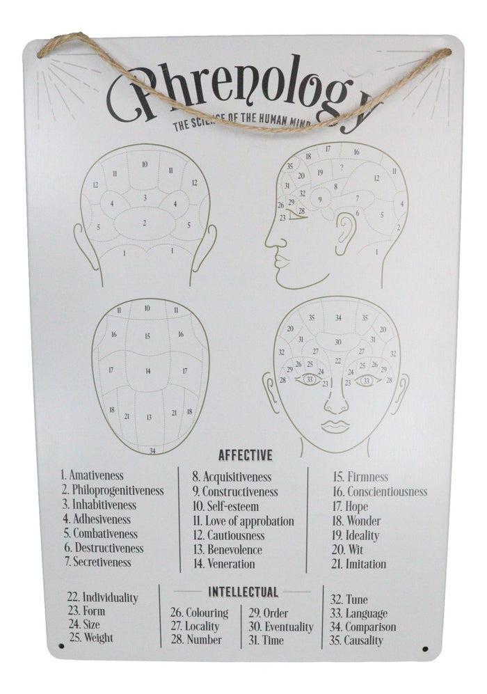 Ebros Gift Gothic Wicca Phrenology Alternative Science Of Human Mind Metal Wall Sign Decor