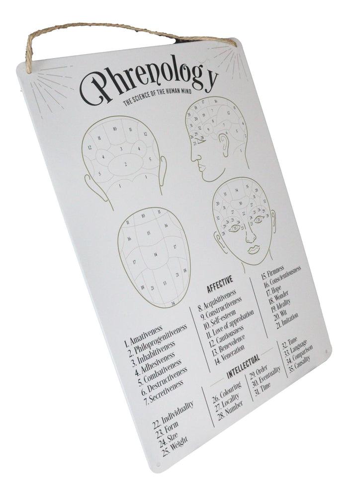 Ebros Gift Gothic Wicca Phrenology Alternative Science Of Human Mind Metal Wall Sign Decor