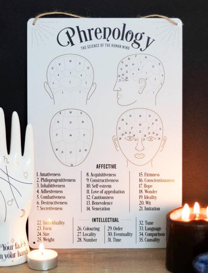 ebros gift Gothic Wicca Phrenology Alternative Science Of Human Mind Metal Wall Sign Decor