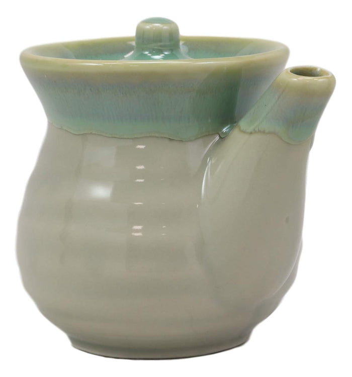 Ebros Gift Green Traditional Japanese Tenmoku Glazed Porcelain Vinegar Soy Sauce Dispenser