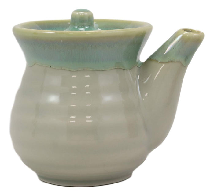 Ebros Gift Green Traditional Japanese Tenmoku Glazed Porcelain Vinegar Soy Sauce Dispenser