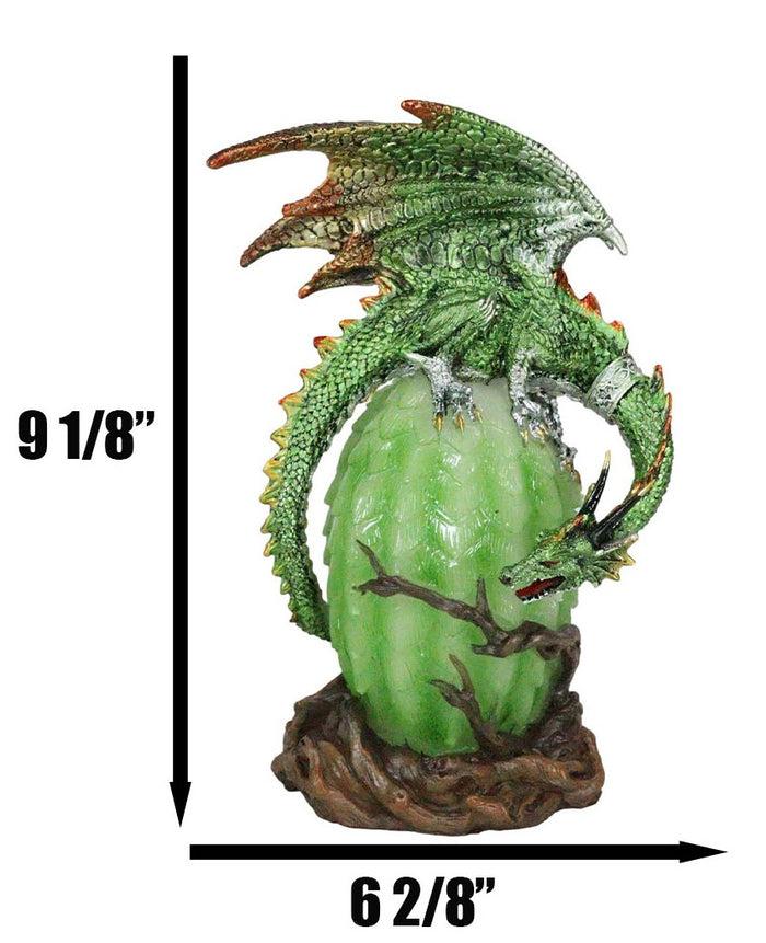 Ebros Gift Greenman Vines Armored Dragon Guarding Color LED Lantern Acrylic Egg Figurine