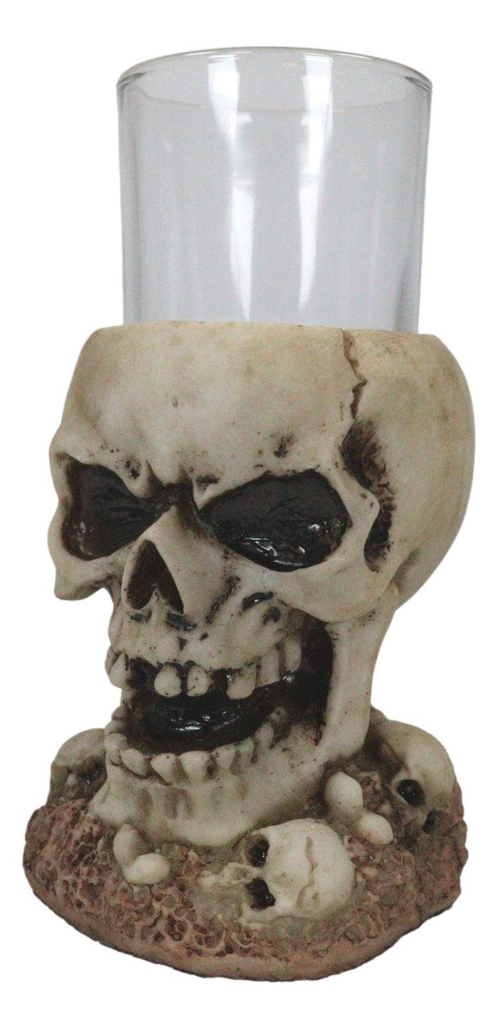 Ebros Gift Grinning Giant Skull With Missing Tooth On Skulls Graveyard Shot Glass Shooter