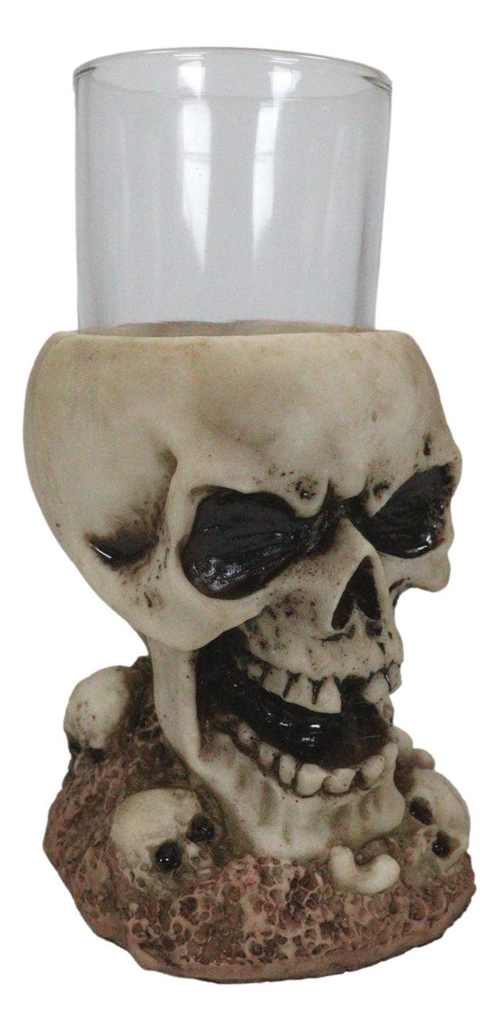 Ebros Gift Grinning Giant Skull With Missing Tooth On Skulls Graveyard Shot Glass Shooter
