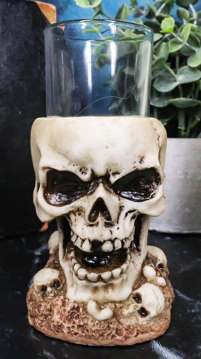 ebros gift Grinning Giant Skull With Missing Tooth On Skulls Graveyard Shot Glass Shooter