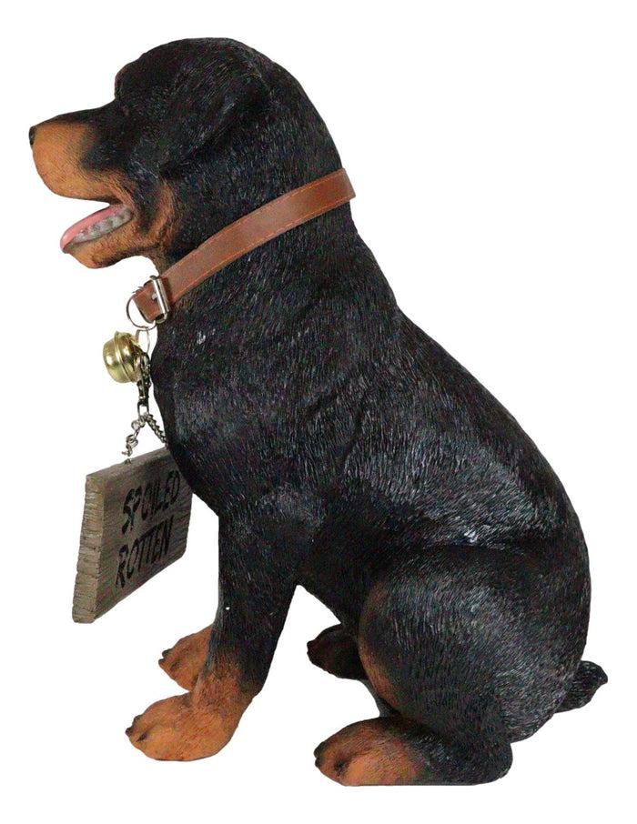 Ebros Gift Guest Welcome Realistic Rottweiler Dog With Jingle Collar Sign Decor Statue 13"H