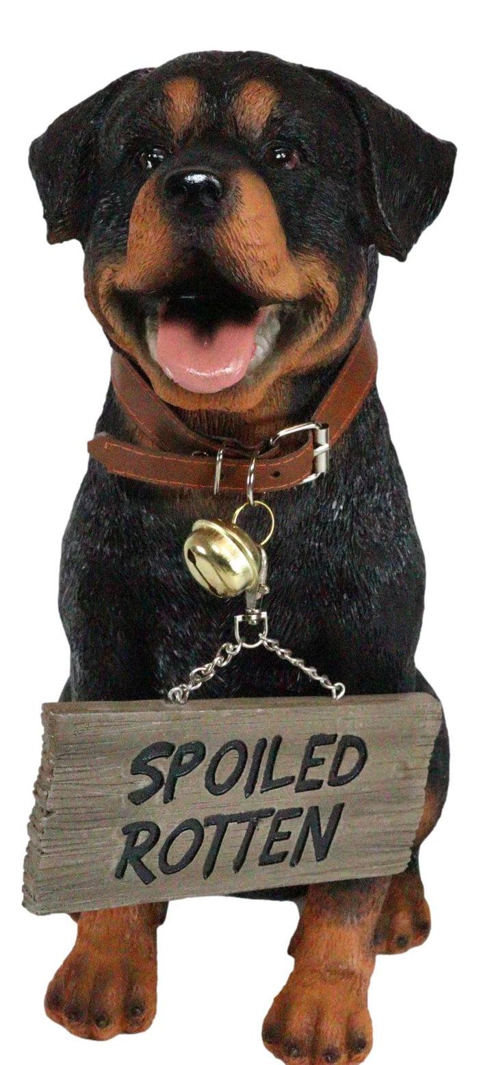 Ebros Gift Guest Welcome Realistic Rottweiler Dog With Jingle Collar Sign Decor Statue 13"H