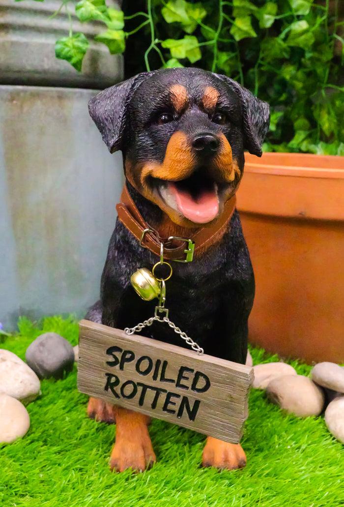 ebros gift Guest Welcome Realistic Rottweiler Dog With Jingle Collar Sign Decor Statue 13"H