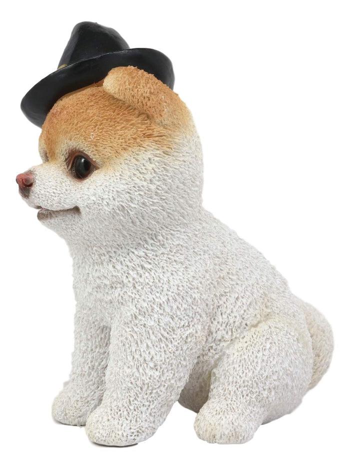 Ebros Gift Halloween Boo The World's Cutest Pomeranian Dog Statue Pet Pal Dogs Collectible