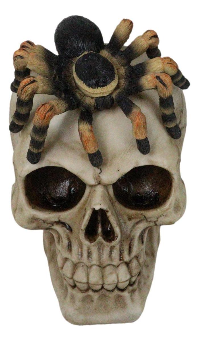 Ebros Gift Halloween Macabre Creepy Crawler Tarantula Arachnid Spider On Skull Figurine