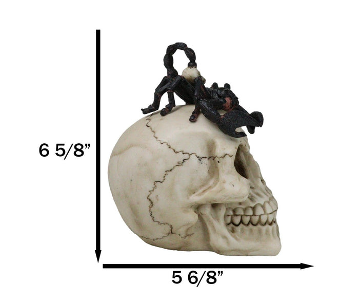 Ebros Gift Halloween Macabre Gothic King Scorpion Demoniac On Skull Figurine