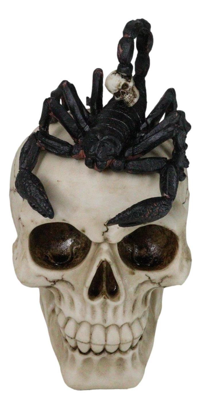 Ebros Gift Halloween Macabre Gothic King Scorpion Demoniac On Skull Figurine
