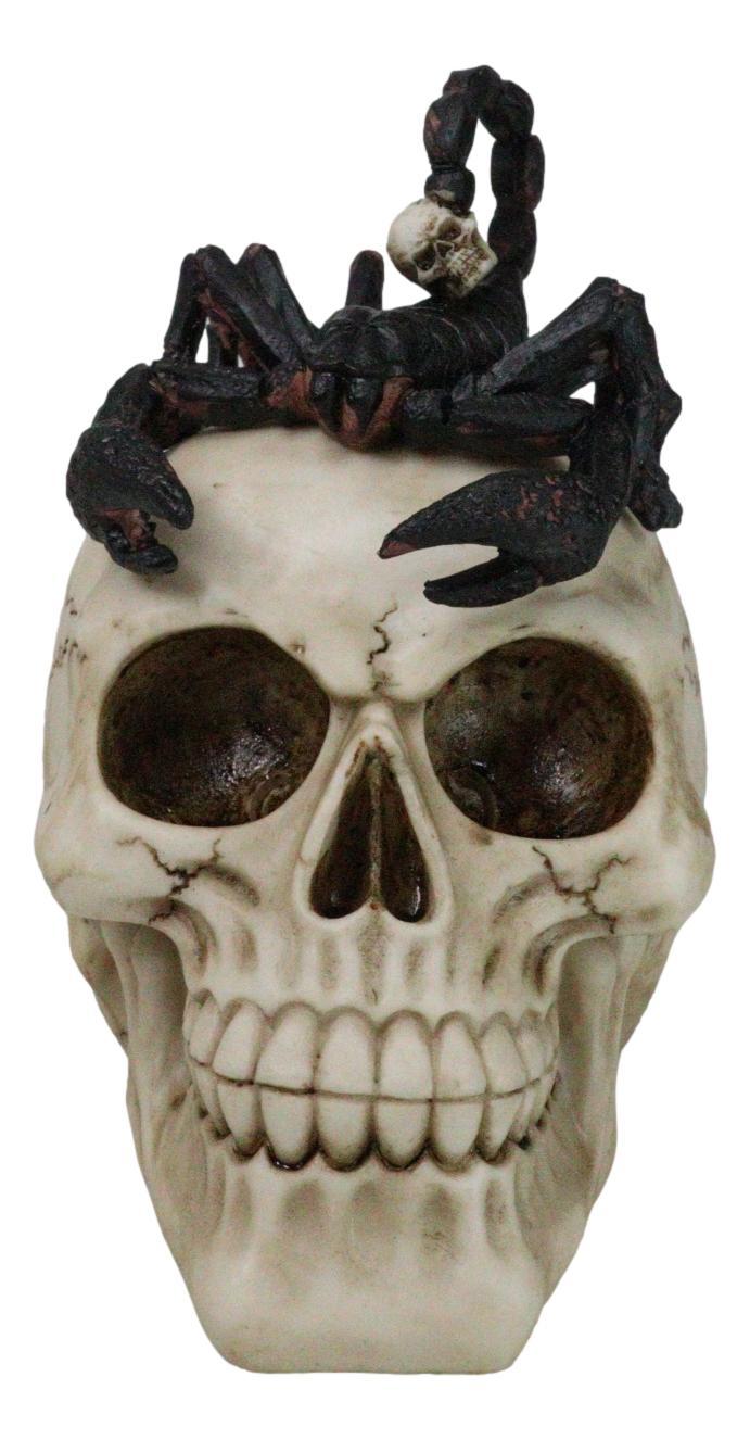 ebros gift Halloween Macabre Gothic King Scorpion Demoniac On Skull Figurine