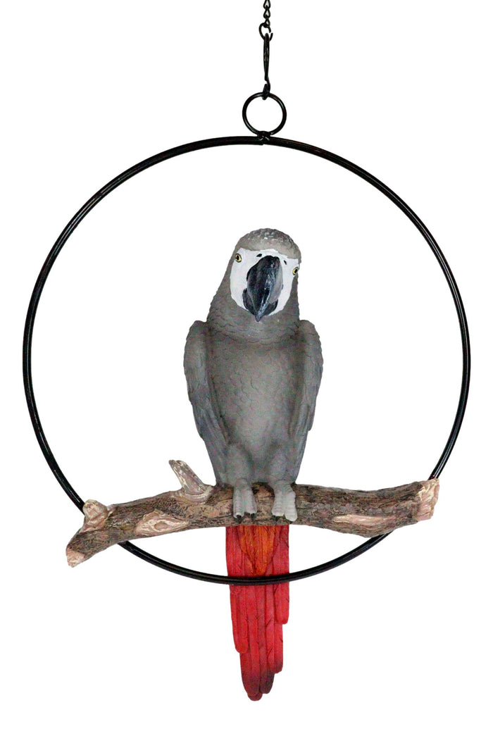 Ebros Gift Hanging Grey Macaw Parrot Bird Perching On Branch With Metal Round Ring 13.5" H