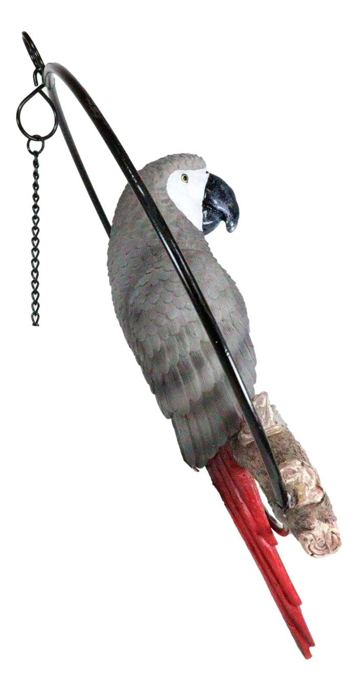 Ebros Gift Hanging Grey Macaw Parrot Bird Perching On Branch With Metal Round Ring 13.5" H