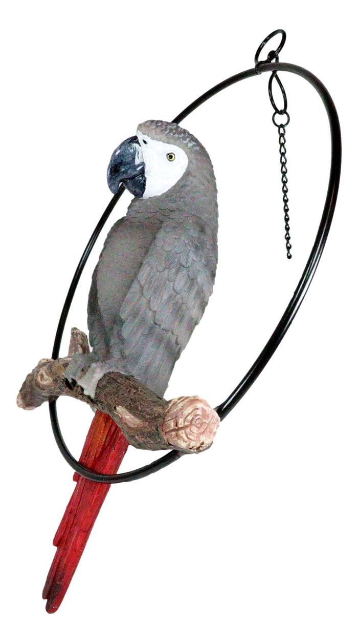 Ebros Gift Hanging Grey Macaw Parrot Bird Perching On Branch With Metal Round Ring 13.5" H
