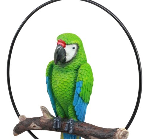 Ebros Gift Hanging Military Macaw Parrot Perching On Branch In Metal Round Ring 13.5"H