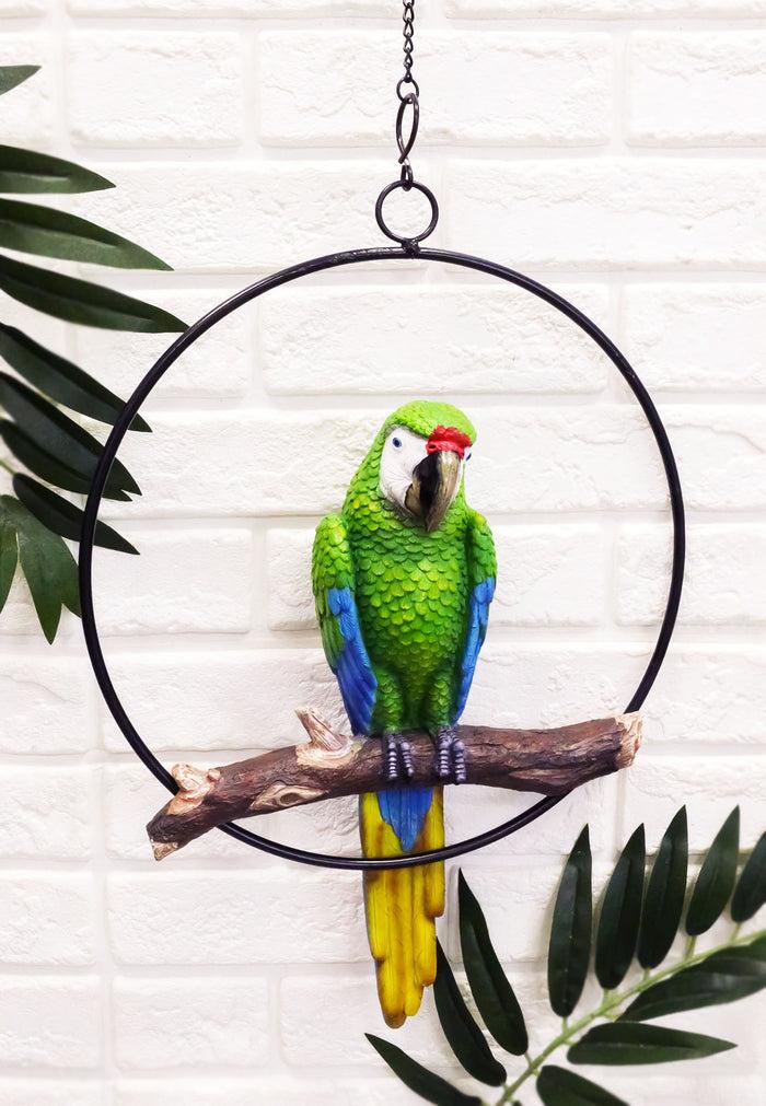 ebros gift Hanging Military Macaw Parrot Perching on Branch in Metal Round Ring 13.5"H