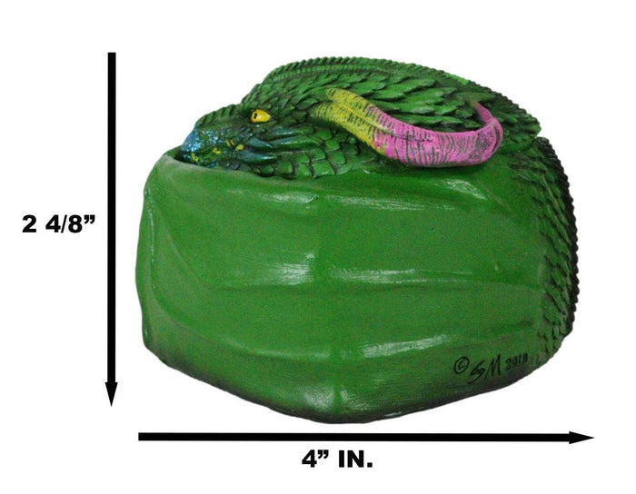 Ebros Gift Hibernating Dragon Green Serpent Drake Small Stash Trinket Jewelry Box Figurine