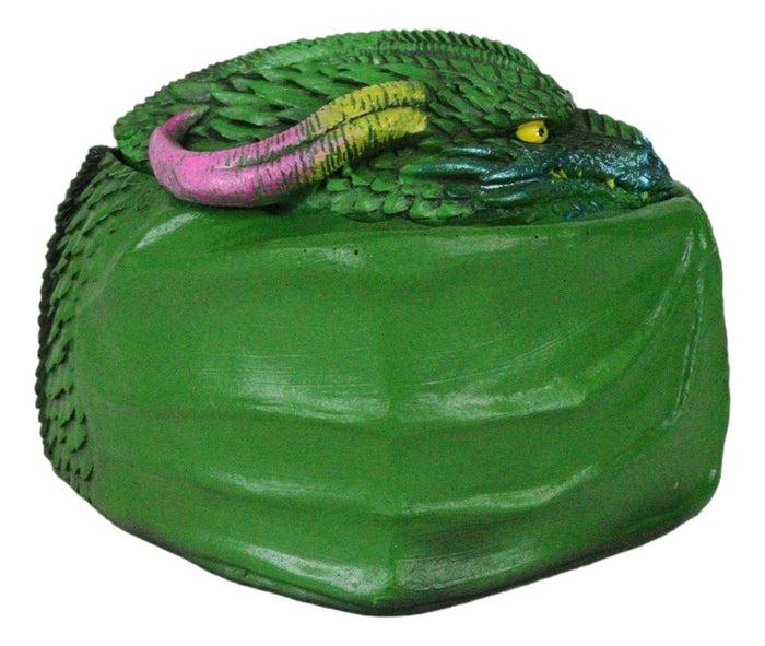 Ebros Gift Hibernating Dragon Green Serpent Drake Small Stash Trinket Jewelry Box Figurine