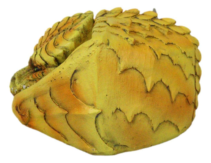 Ebros Gift Hibernating Dragon Yellow Serpent Drake Small Stash Trinket Jewelry Box Figurine