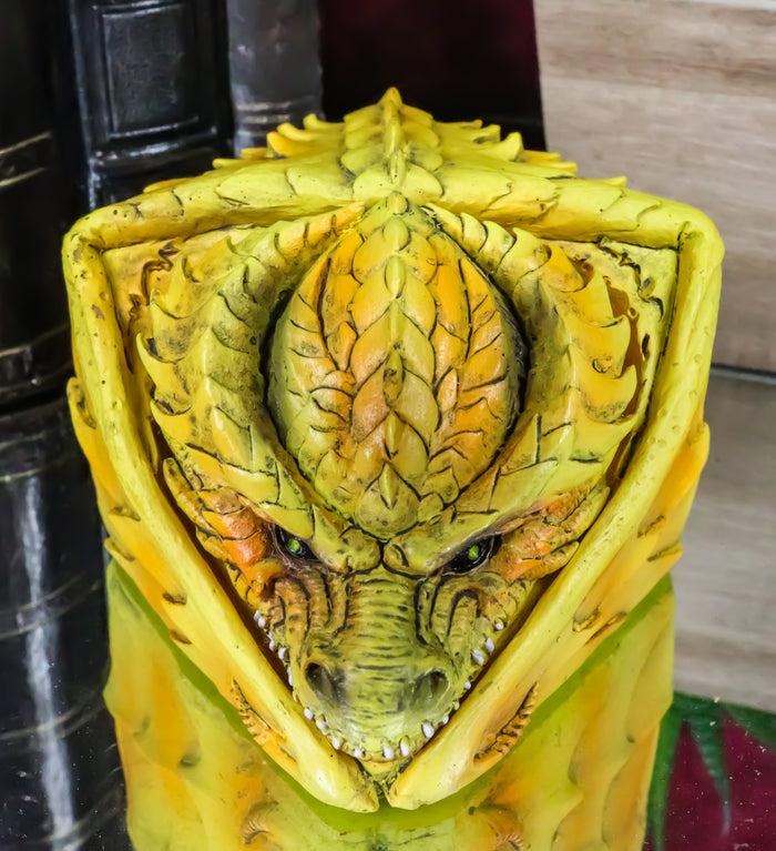 ebros gift Hibernating Dragon Yellow Serpent Drake Small Stash Trinket Jewelry Box Figurine