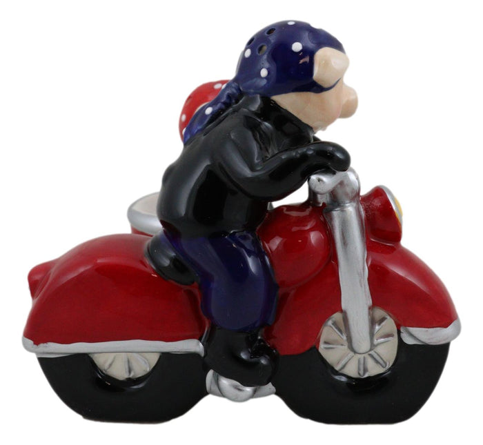 Ebros Gift Hog Riders Biker Pig Couple Riding Motorcycle Side Car Rig Salt Pepper Shakers
