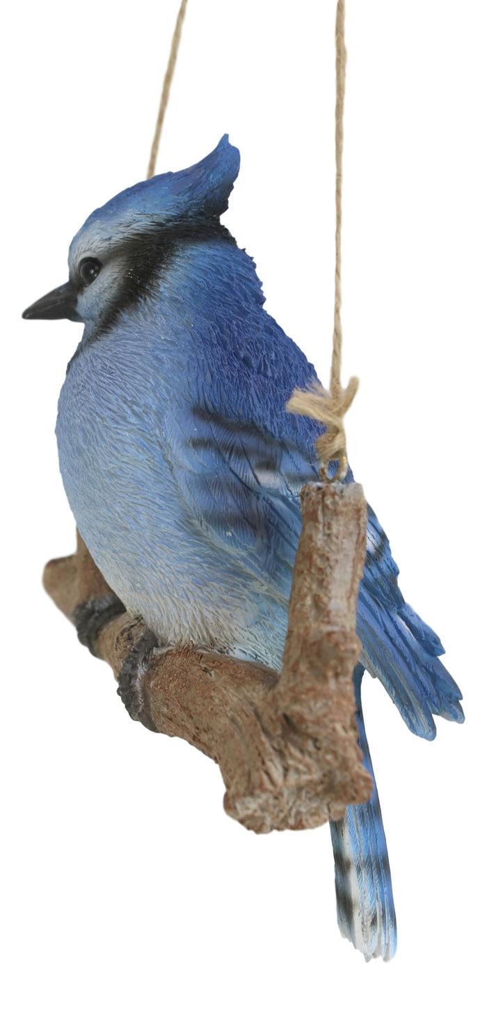 Ebros Gift Home Garden Hanging Blue Jay Passerine Bird Perching On Branch Figurine Decor