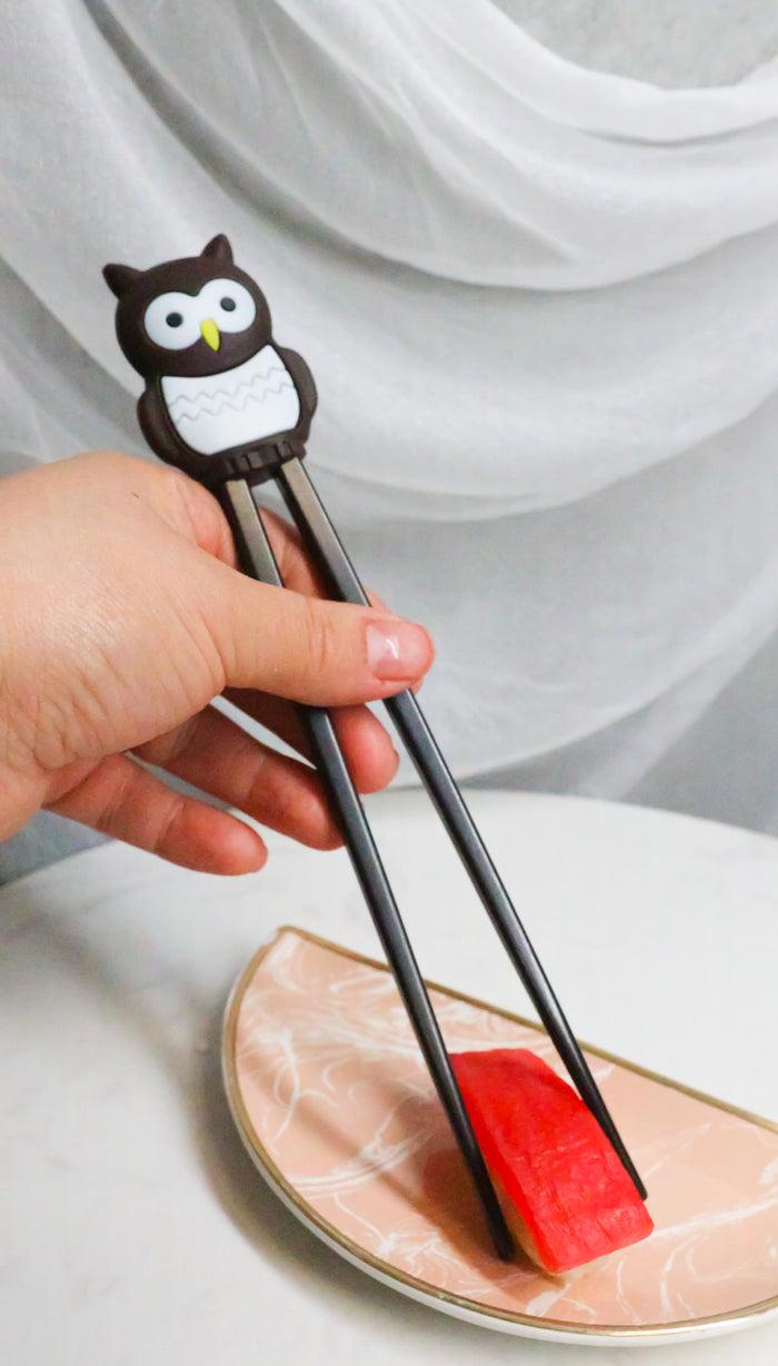 ebros gift Japanese Chocolate Owl Bird Reusable Training Chopsticks Set With Silicone Guide