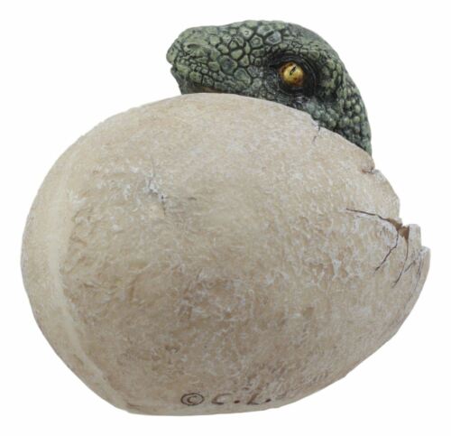 Ebros Gift Jurassic Era Predator Hatching Dinosaur Egg Figurine 4"H Velociraptor Hatchling