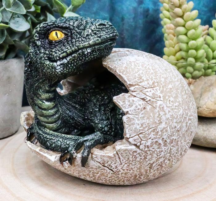 ebros gift Jurassic Era Predator Hatching Dinosaur Egg Figurine 4"H Velociraptor Hatchling