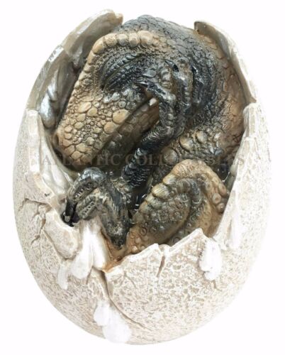 Ebros Gift Jurassic Era Predator Tyrannosaurus Rex In Egg Dinosaur Figurine Collectible