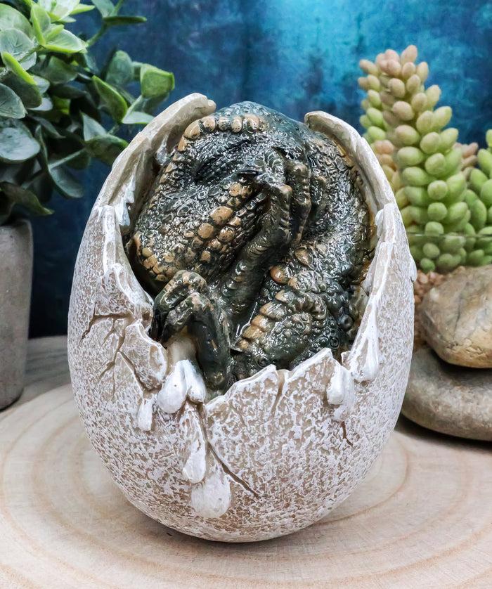 ebros gift Jurassic Era Predator Tyrannosaurus Rex In Egg Dinosaur Figurine Collectible