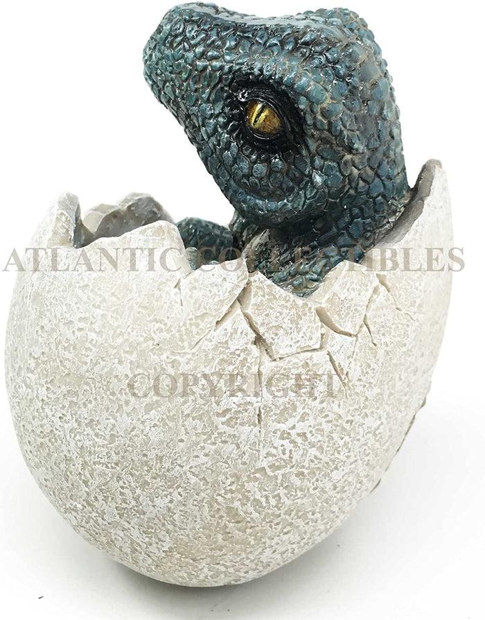 Ebros Gift Jurassic Era Predator Velociraptor Hatchling Egg Dinosaur Figurine Collectible
