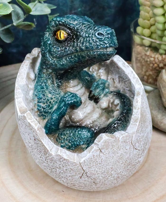 ebros gift Jurassic Era Predator Velociraptor Hatchling Egg Dinosaur Figurine Collectible
