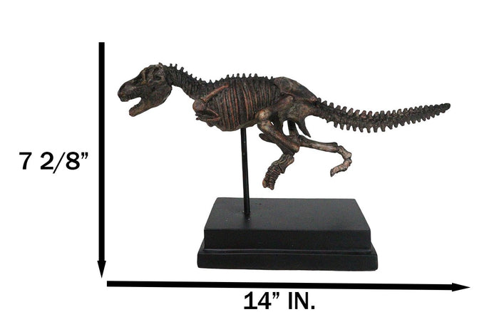 Ebros Gift Jurassic T-Rex Tyrannosaurus Rex Dinosaur Fossil Skeleton Statue On Base Stand