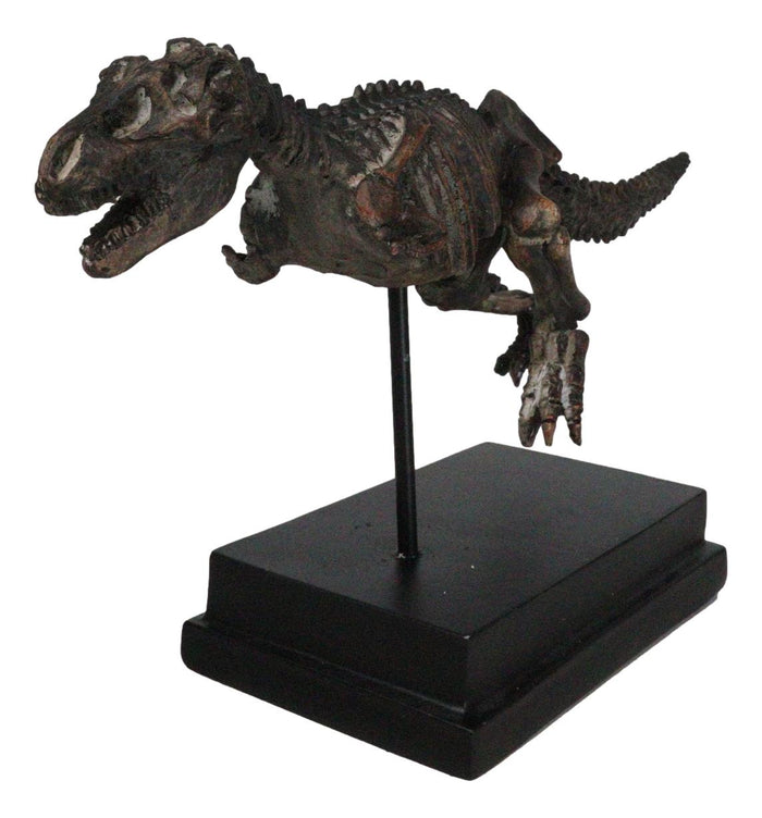 Ebros Gift Jurassic T-Rex Tyrannosaurus Rex Dinosaur Fossil Skeleton Statue On Base Stand