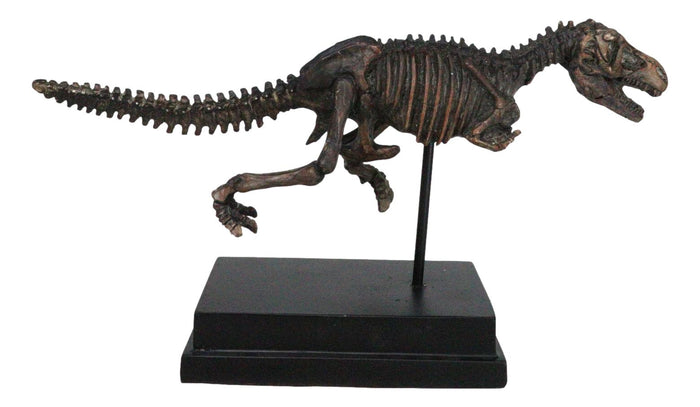 Ebros Gift Jurassic T-Rex Tyrannosaurus Rex Dinosaur Fossil Skeleton Statue On Base Stand