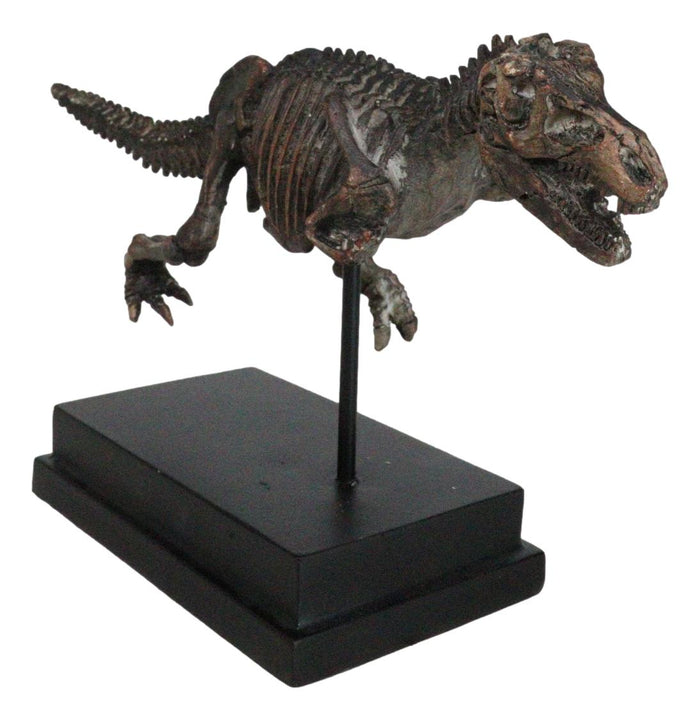 ebros gift Jurassic T-Rex Tyrannosaurus Rex Dinosaur Fossil Skeleton Statue On Base Stand