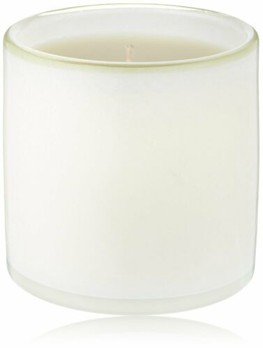 Ebros Gift LAFCO New York Ski House Feu De Bois Sandalwood Leather Frankincense Candle 15oz