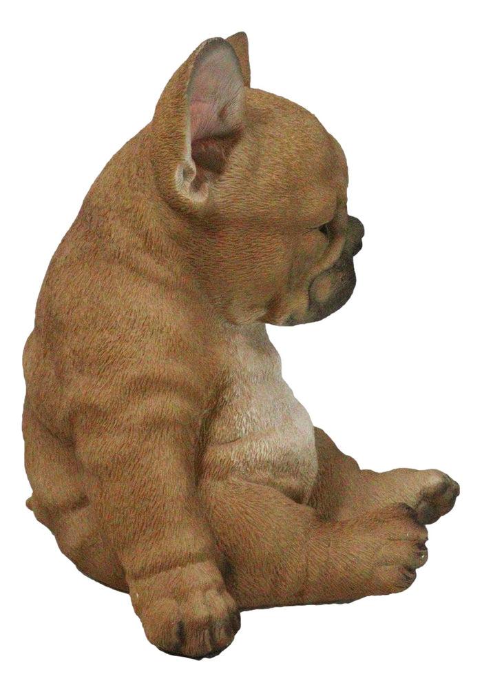 Ebros Gift Laid Back Sitting Realistic Adorable French Bulldog Puppy Dog Figurine 7.5"H