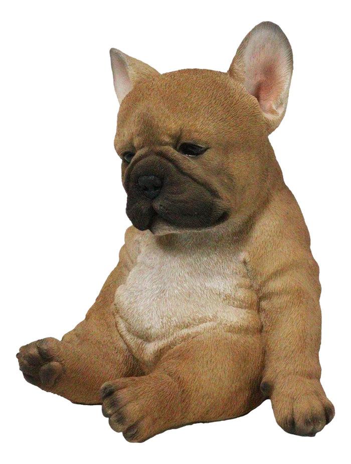 Ebros Gift Laid Back Sitting Realistic Adorable French Bulldog Puppy Dog Figurine 7.5"H