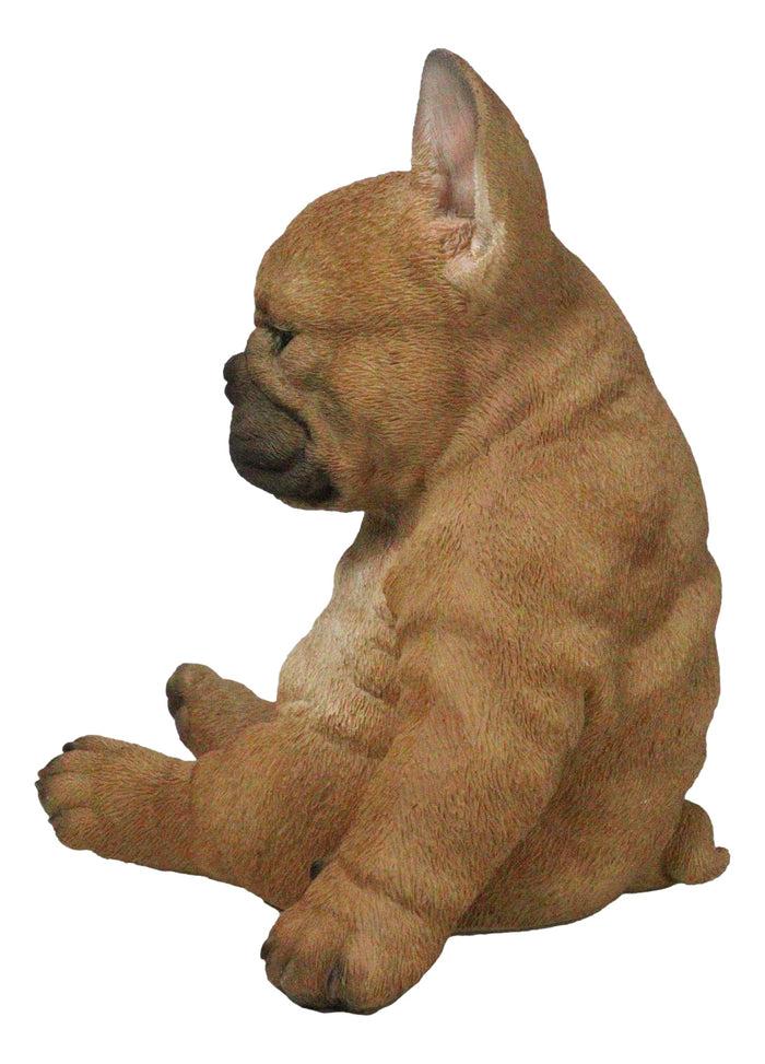Ebros Gift Laid Back Sitting Realistic Adorable French Bulldog Puppy Dog Figurine 7.5"H