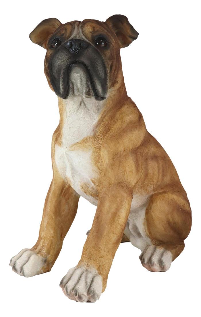 Ebros Gift Large 16"H Adorable Realistic Sitting Fawn Boxer Muscle Dog Decorative Statue