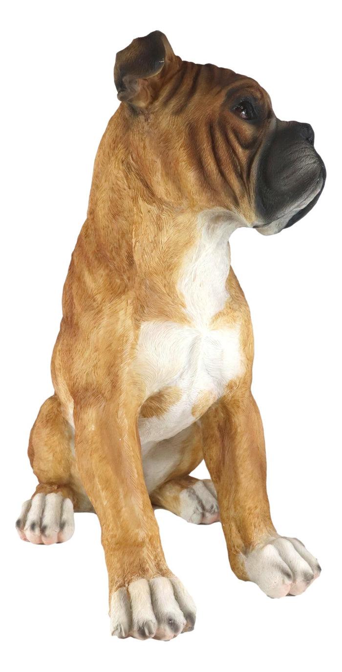Ebros Gift Large 16"H Adorable Realistic Sitting Fawn Boxer Muscle Dog Decorative Statue