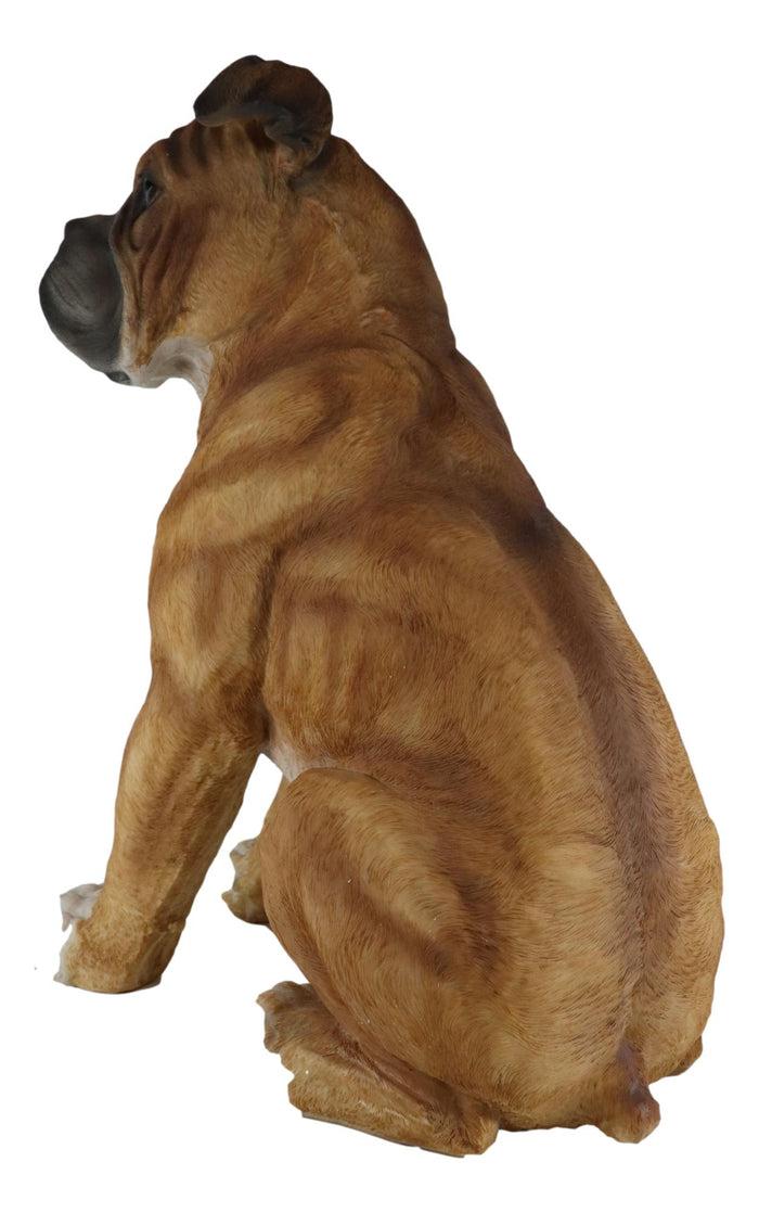 Ebros Gift Large 16"H Adorable Realistic Sitting Fawn Boxer Muscle Dog Decorative Statue