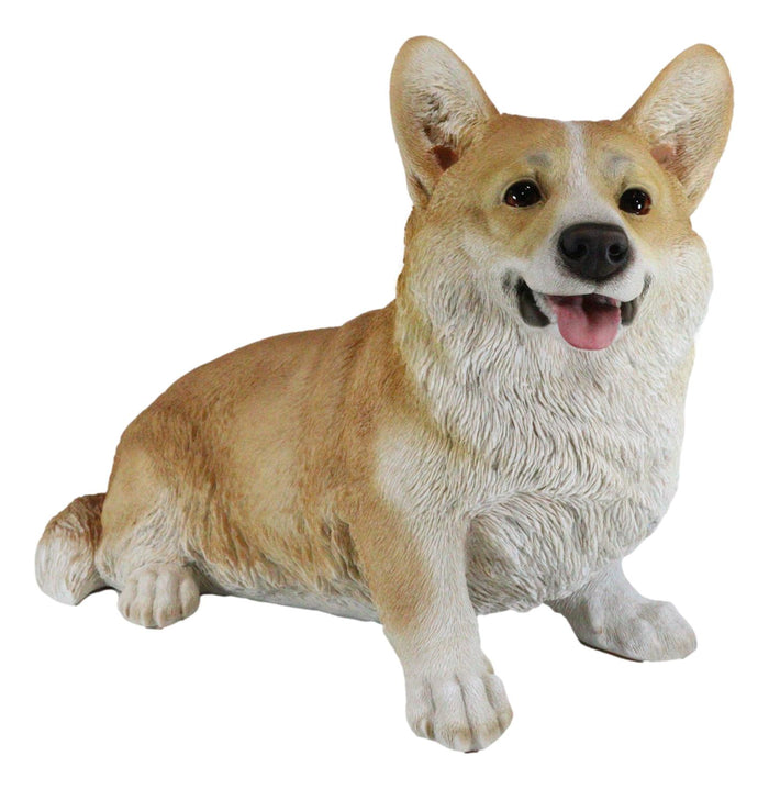 Ebros Gift Large 18.5" Long Sitting Realistic Lifelike Welsh Corgi Dog Statue Home Decor