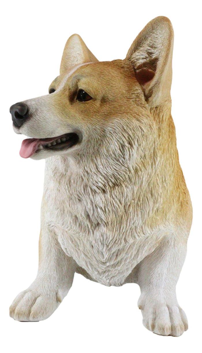 Ebros Gift Large 18.5" Long Sitting Realistic Lifelike Welsh Corgi Dog Statue Home Decor